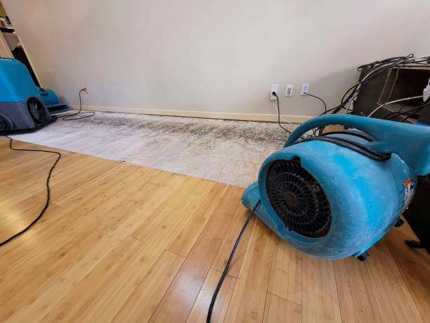 Professional Sewage Cleanup technician working in Granite Falls, NC